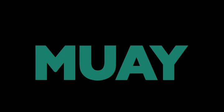 Namman Muay logo