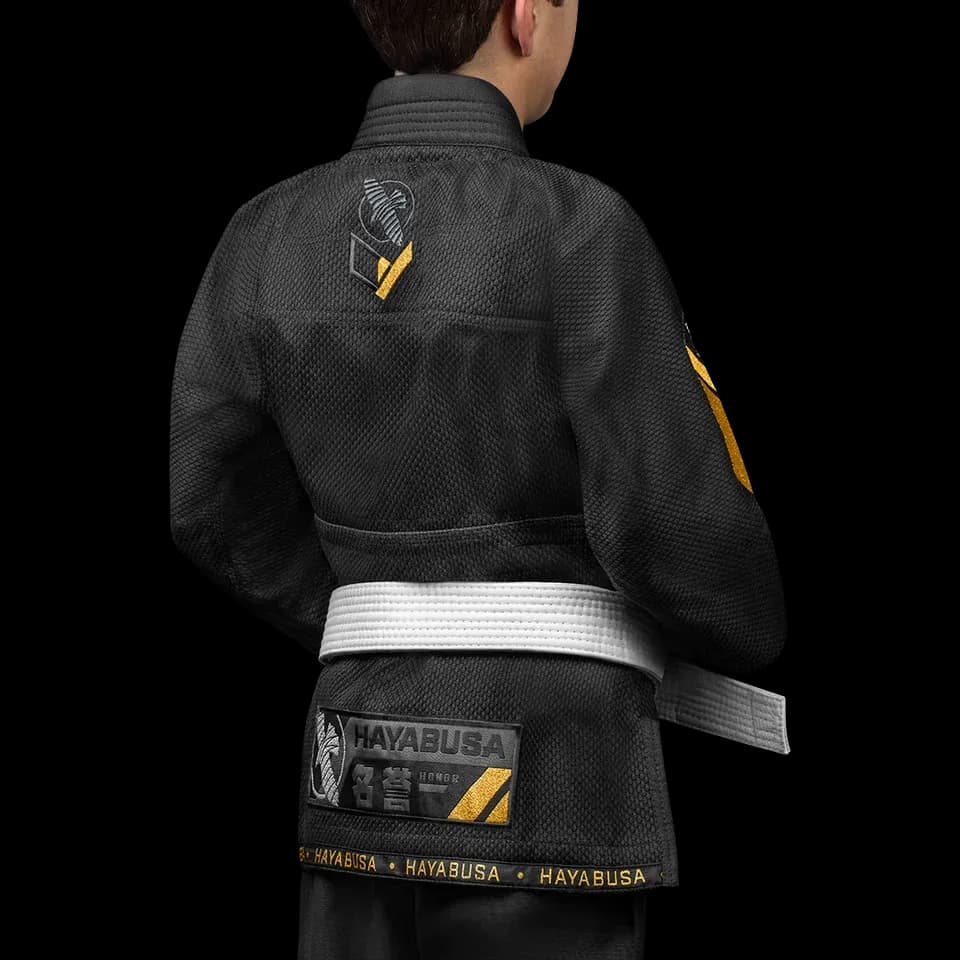 Hayabusa Ascend svart – rygg og skuldre fra siden
