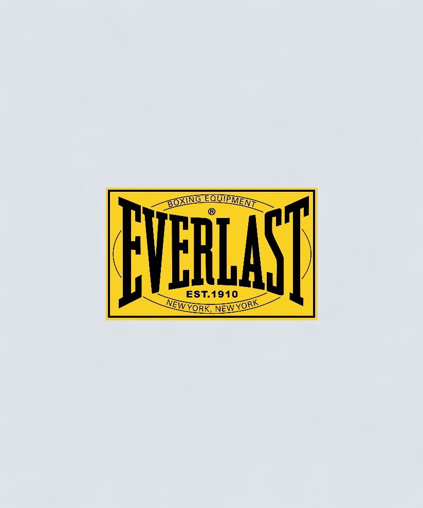 Everlast - CombatStore.no 