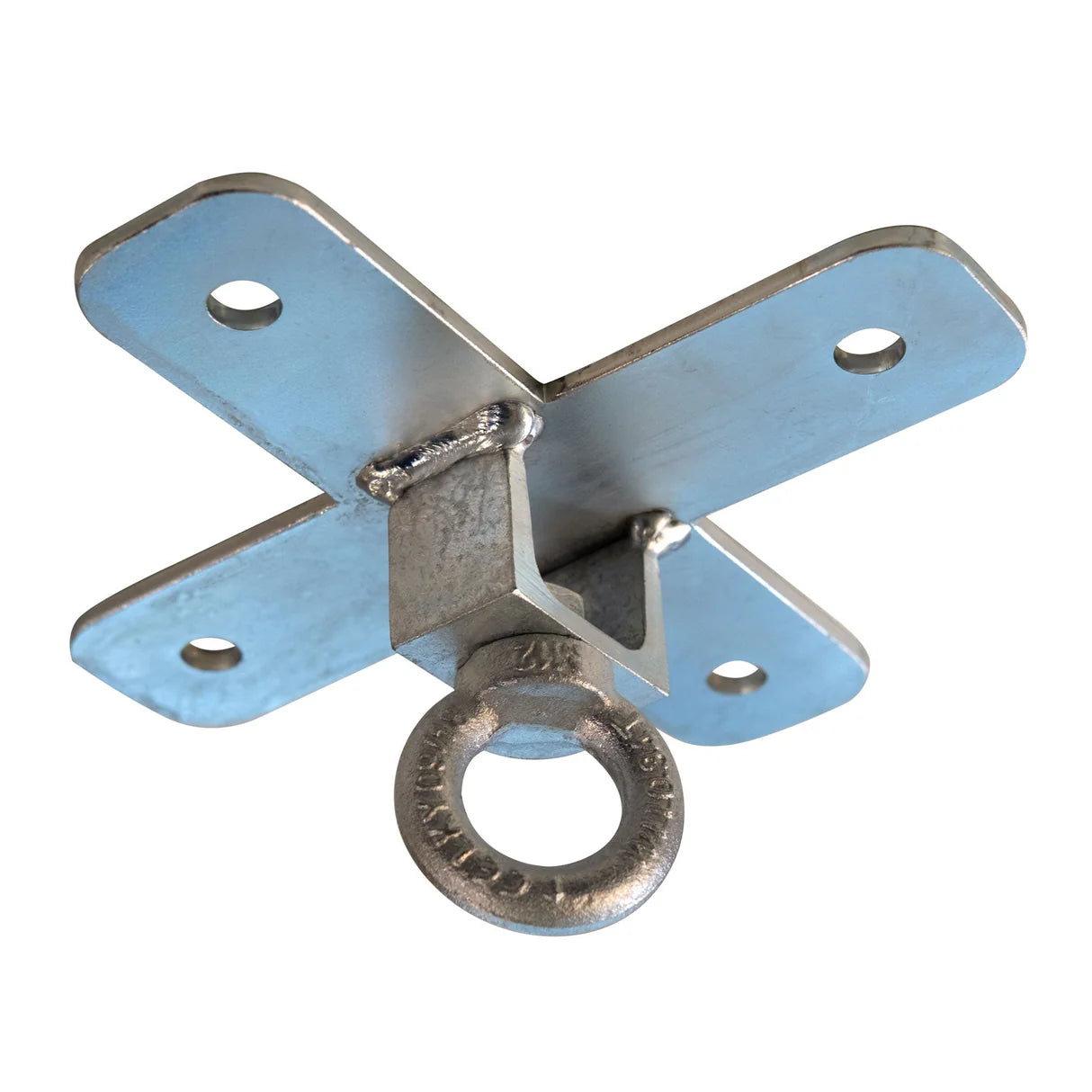 Fighter Pro Ceiling Hook